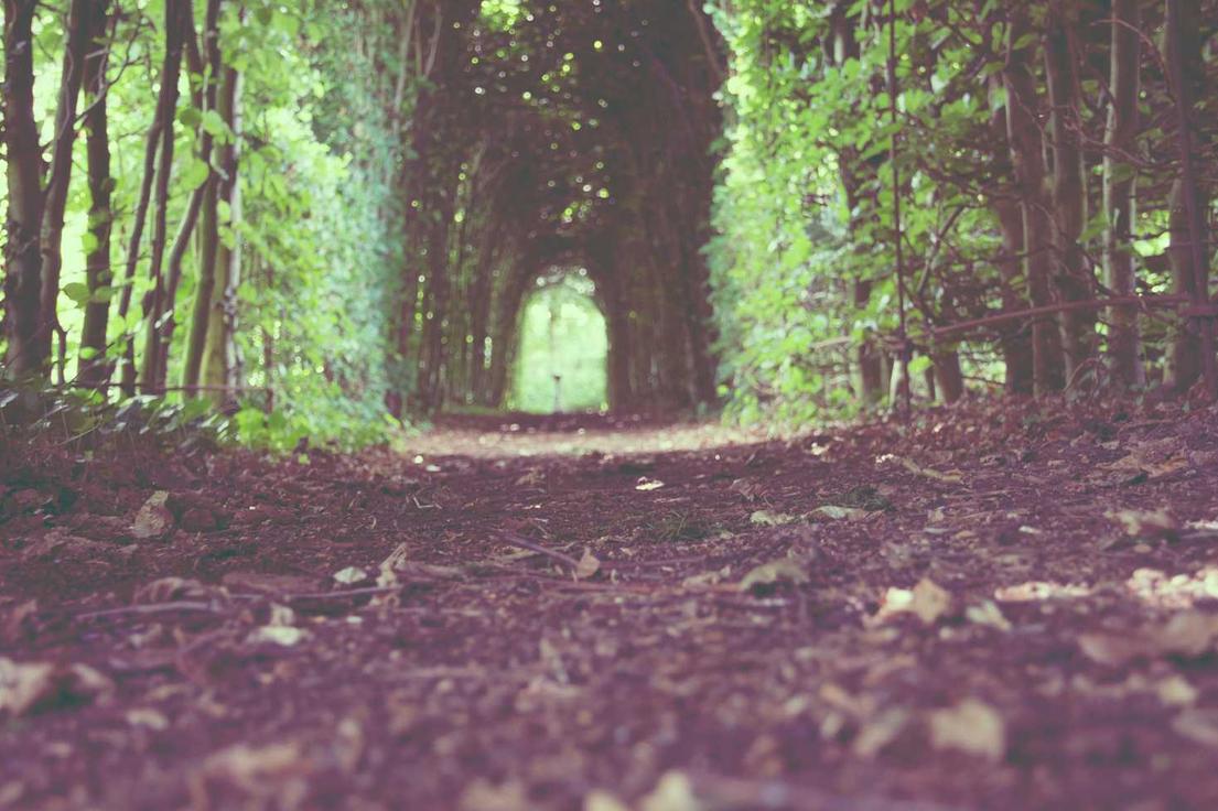 Et cupiditate illo laboriosam